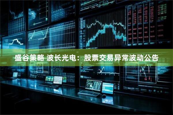 盛谷策略 波长光电：股票交易异常波动公告