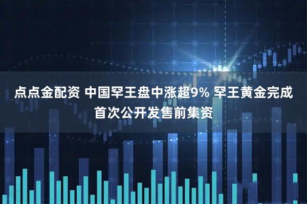 点点金配资 中国罕王盘中涨超9% 罕王黄金完成首次公开发售前集资